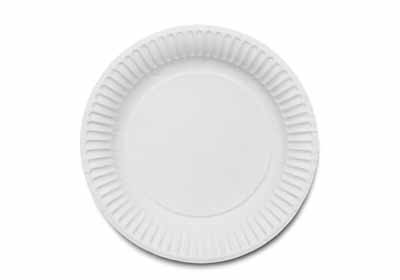 Disposable Plates 